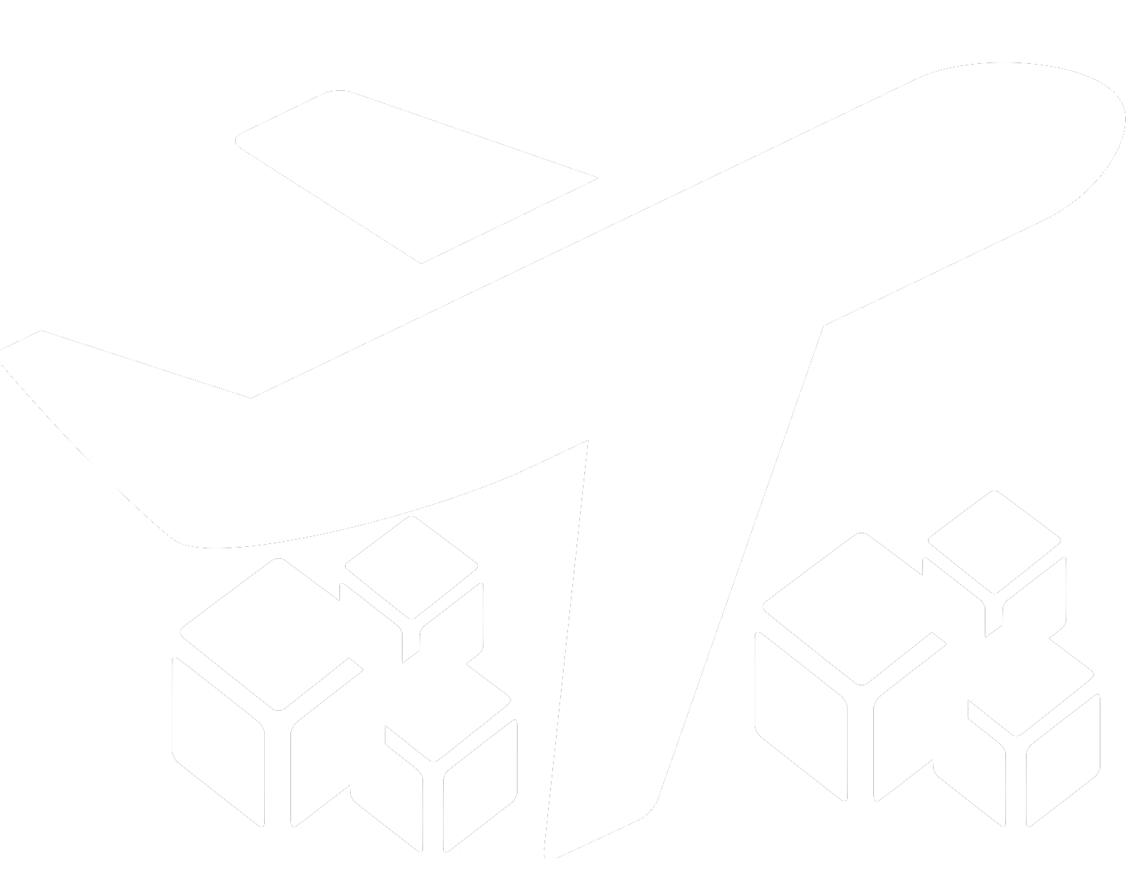 AVION CON CARGA BLANCO