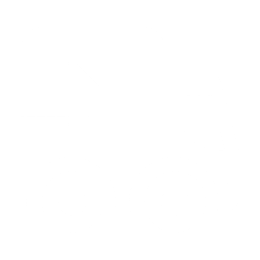 TRUCK 2 BLANCO